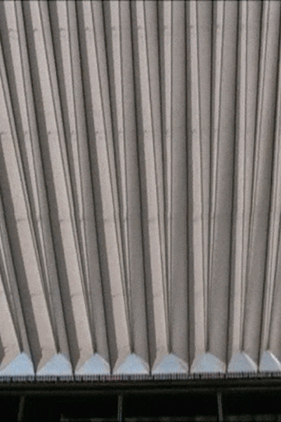 gif 6